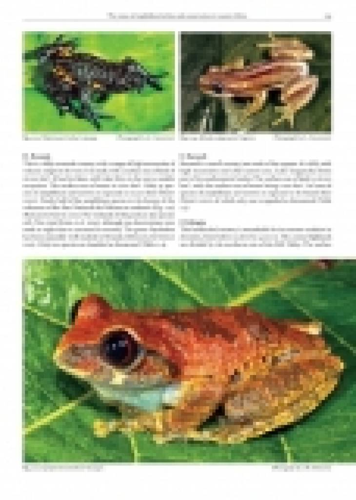 Status and Threats of Afrotropical Amphibians